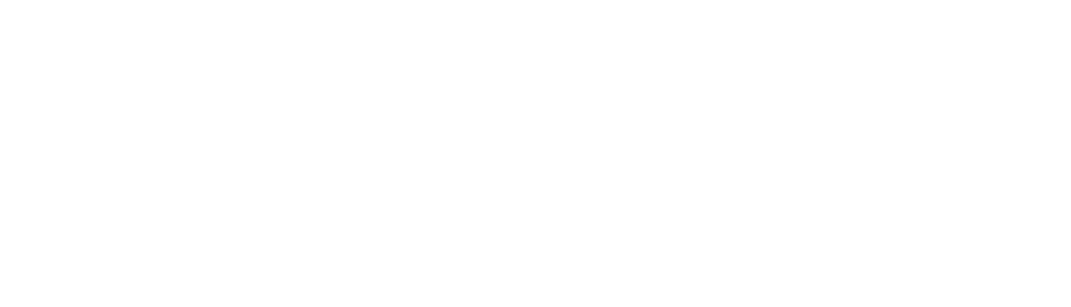 Dolphin Enterprises Ltd